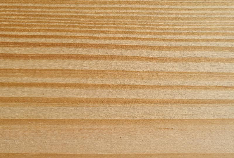 MAICURU plantation timber Pines