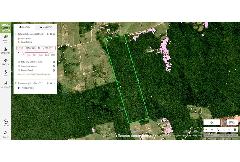 Auf dem Satellitenbild sieht man anhand der pinkfarbenen Punkte, wo eine Entwaldung stattgefunden hat und kann so abschließend prüfen, ob die Vorgaben des PMFS eingehalten wurden